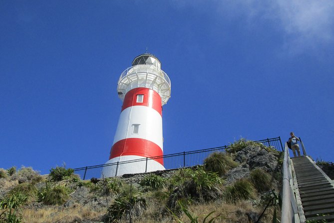 Pinot to Palliser Tour” – Guided Tour to Cape Palliser Vith Lunch Winetasting