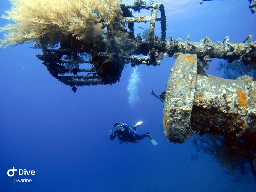 1 pivate scuba diving in the red sea of aqaba Pivate Scuba Diving in the Red Sea of Aqaba