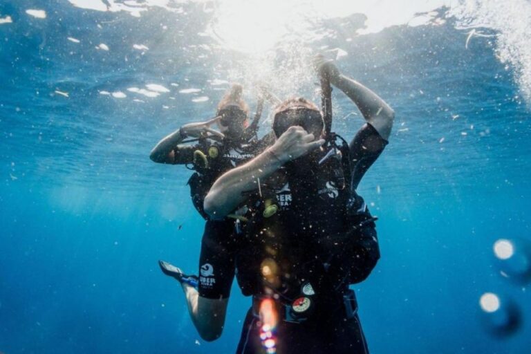 Playa Del Carmen: Fun Dive Experience for Certified Divers