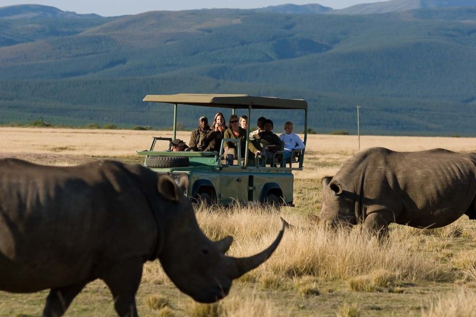 1 plettenberg bay game reserve 2 hour game drive Plettenberg Bay Game Reserve: 2-Hour Game Drive