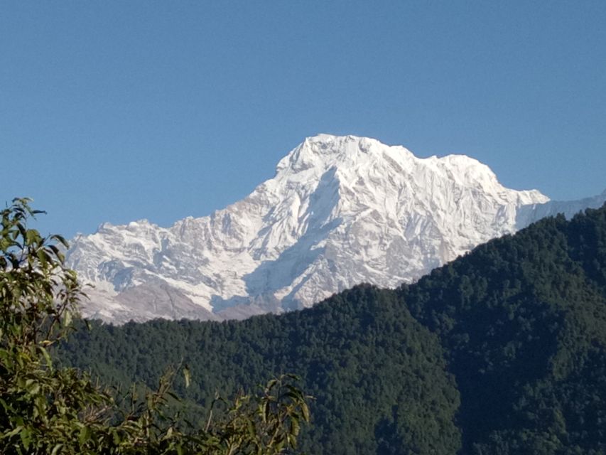 1 pokhara 1 night 2 days short australian camp trek Pokhara: 1 Night 2 Days Short Australian Camp Trek