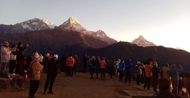 Pokhara: 3 Day Ghorepani & Poon Hill Himalayan Paradise Trek
