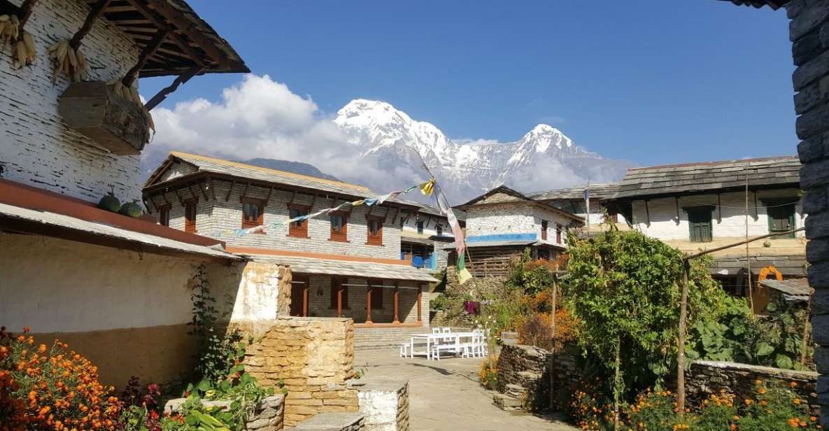 1 pokhara 9 day poonhill annapurna himalayan basecamp trek Pokhara: 9-Day PoonHill & Annapurna Himalayan Basecamp Trek