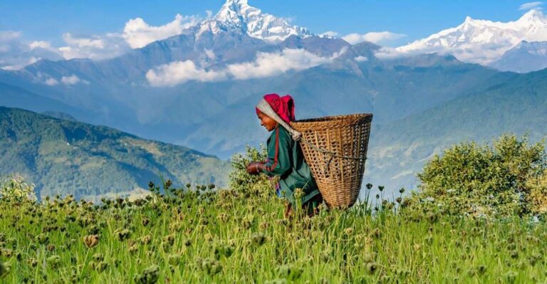 Pokhara: Dhampus Village Guided Day Tour – Lap on Mountain