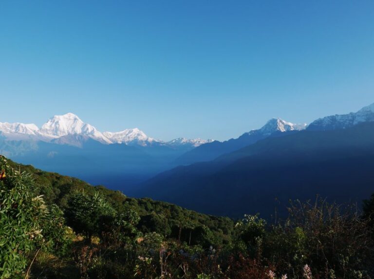 Pokhara:4-Day Ghorepani Poon Hill Guided Trek via Ghandruk