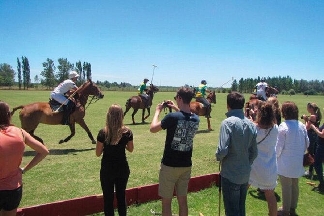 Polo Match, BBQ and Lesson Day-Trip From Buenos Aires