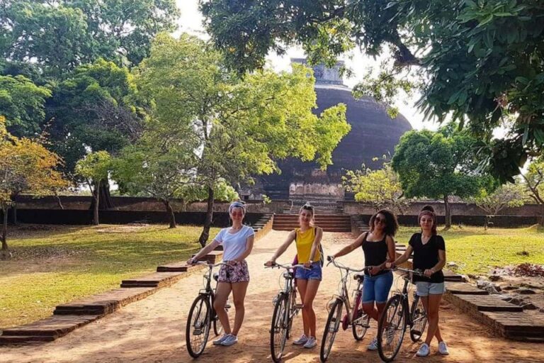 Polonnaruwa Ancient City Guided Tour From Hikkaduwa