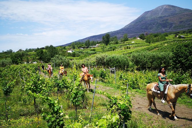 Pompeii Guided Tour & Horse Riding on Vesuvius With Wine Tasting