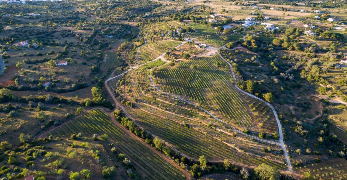 1 porches algarve vineyard tour and wine tasting Porches: Algarve Vineyard Tour and Wine Tasting Experience