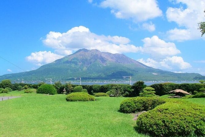 Port Pick-Up: Kagoshima Private Tour Licensed Guide ＆ Vehicle