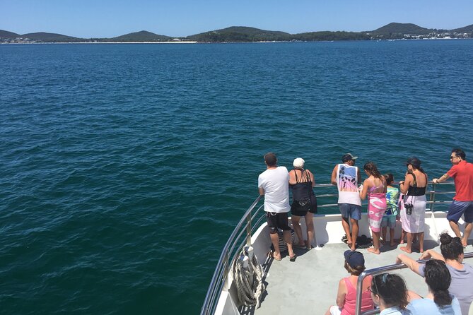 1 port stephens private tour from sydney with dolphin whale cruise options Port Stephens Private Tour From Sydney, With Dolphin/ Whale Cruise Options
