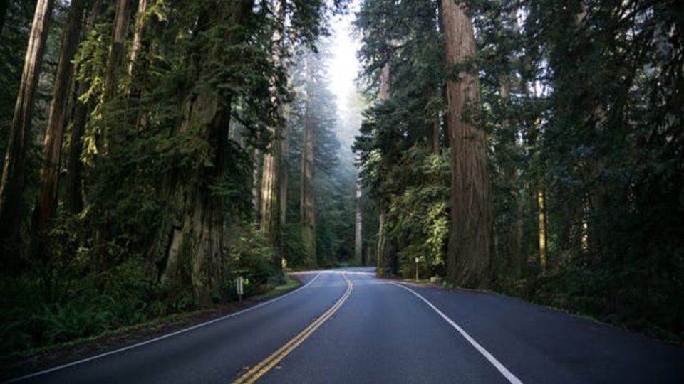 1 portland cannon beach trails forests oregon coast tour Portland: Cannon Beach, Trails, & Forests Oregon Coast Tour