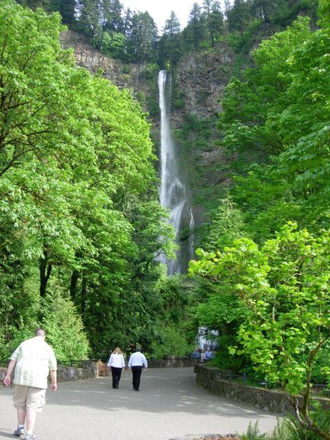 Portland: Columbia River Gorge Waterfalls Morning Tour
