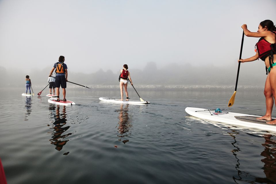 1 portland me guided harbor paddleboard tour Portland, ME: Guided Harbor Paddleboard Tour
