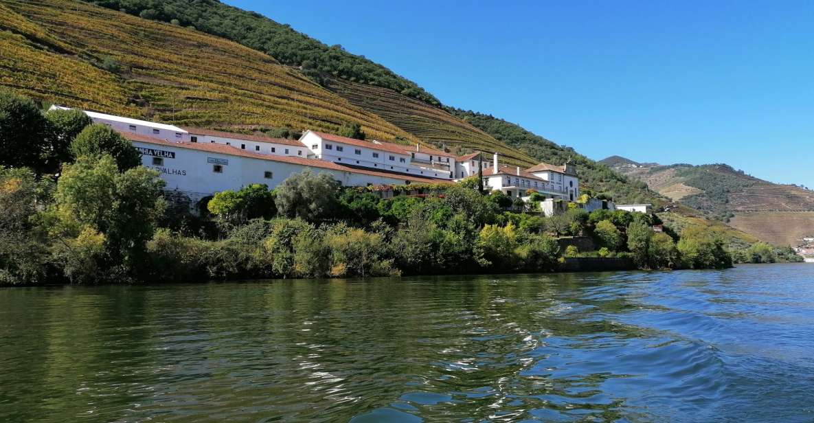 1 porto 2 douro valley wineries day trip with river cruise Porto: 2 Douro Valley Wineries Day Trip With River Cruise