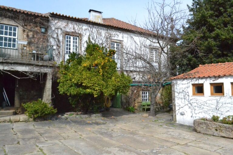 Porto: 3 Douro Valley Vineyards Tour With Lunch