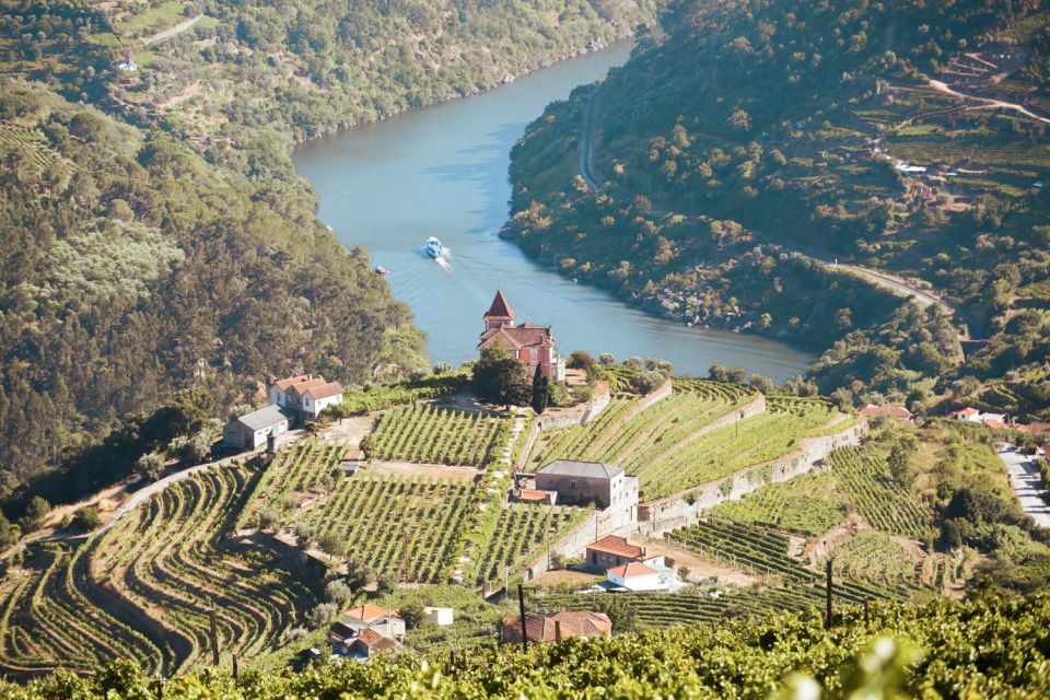 1 porto douro valley tour with wine tasting cruise and lunch Porto: Douro Valley Tour With Wine Tasting, Cruise and Lunch