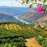 1 porto douro valley tour with wine tasting lunch cruise Porto: Douro Valley Tour With Wine Tasting, Lunch & Cruise