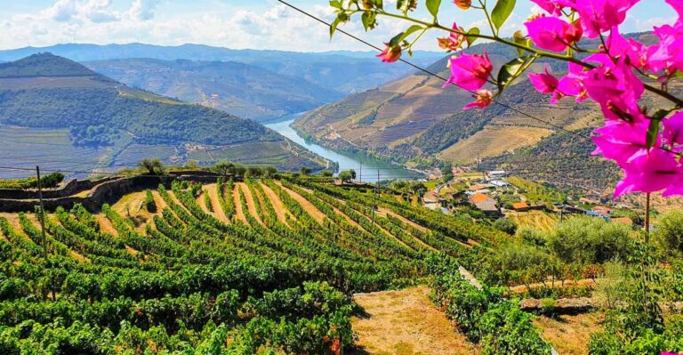 Porto: Douro Valley Tour With Wine Tasting, Lunch & Cruise