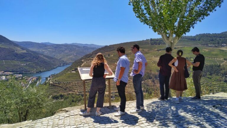 Porto: Douro Valley Wine Tour With Tastings, Boat, and Lunch