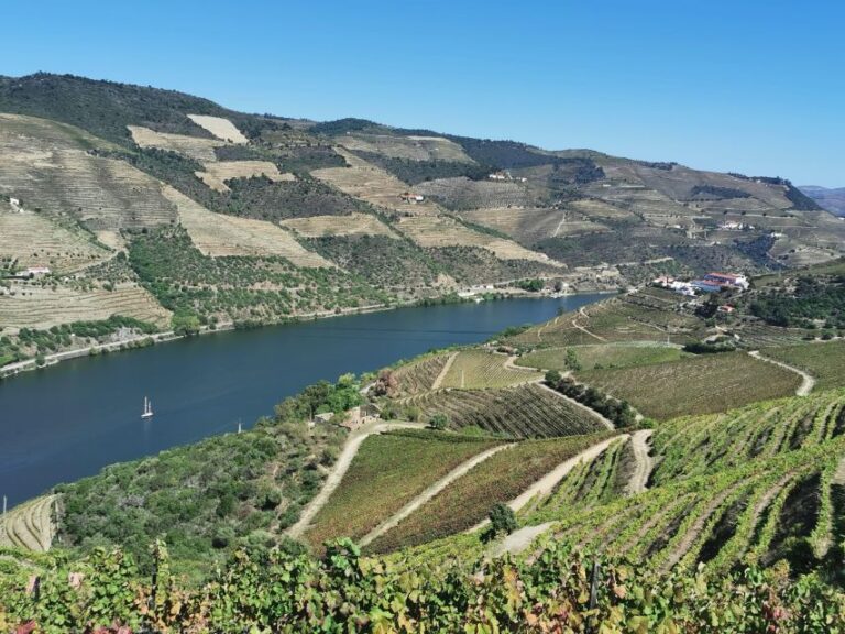 Porto & Douro: Visit to Viewpoints, Lunch, 2 Wine Tasting