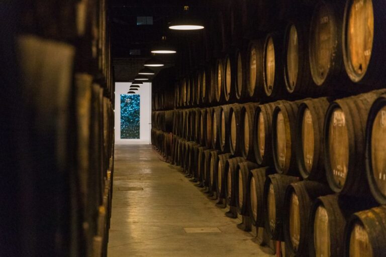 Porto: Guided Tour and Tasting of 3 Port Wines at Poças