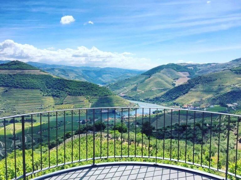 Porto: Private Douro Valley Day With Lunch