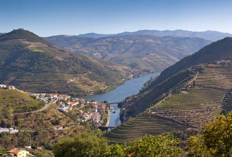 Portugal: Premium Bike Tour Atlantic Coast to Douro Valley