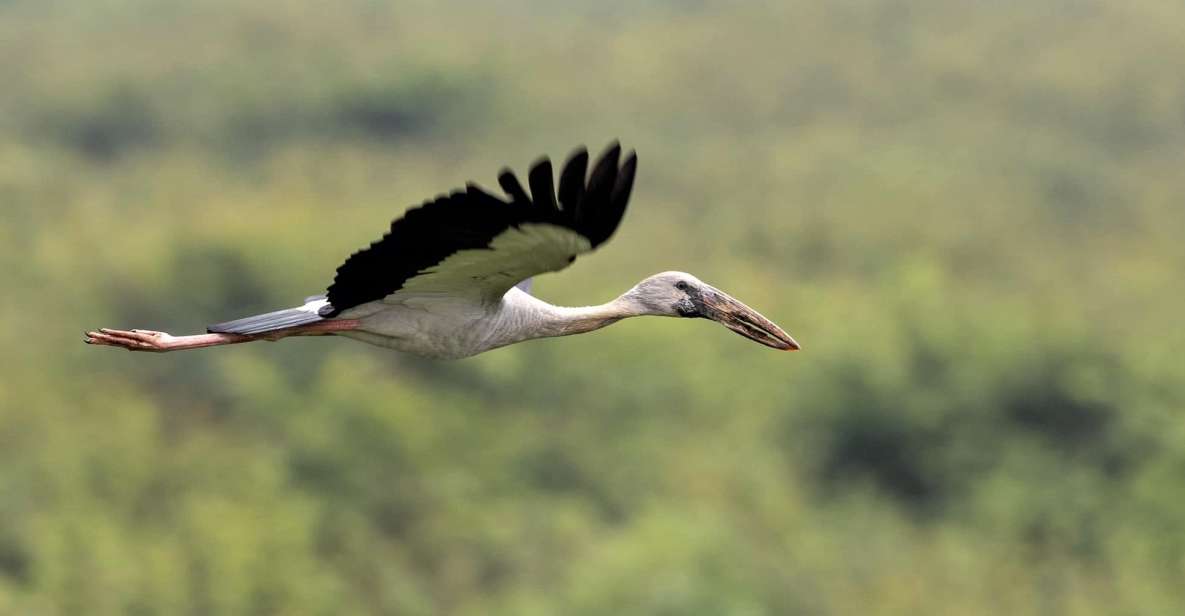 1 prek toal birds sanctuary floating village private tour Prek Toal Birds Sanctuary & Floating Village Private Tour