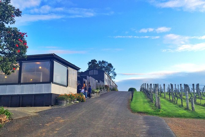 1 premium full day waiheke wine tour Premium Full Day Waiheke Wine Tour