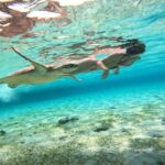 1 privat boat snorkelling around the gilis with go pro Privat Boat: Snorkelling Around the Gilis With Go Pro