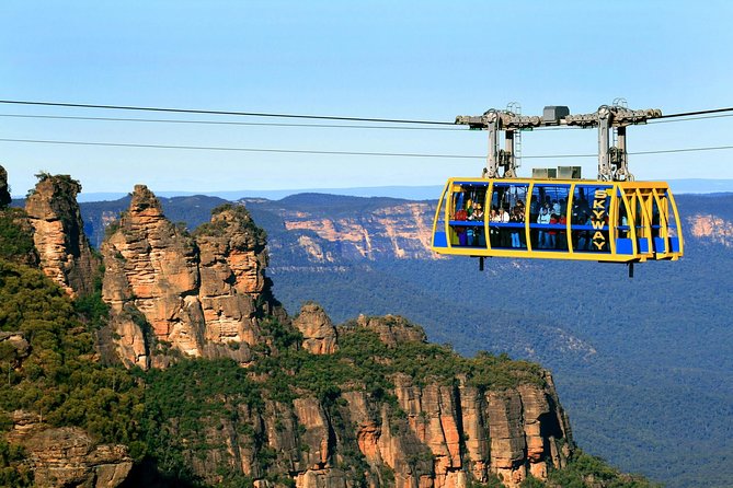 PRIVATE All Blue Mountains Tour, Wildlife Park and River Cruise
