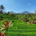1 private all day tour of bali mar Private All-Day Tour of Bali (Mar )