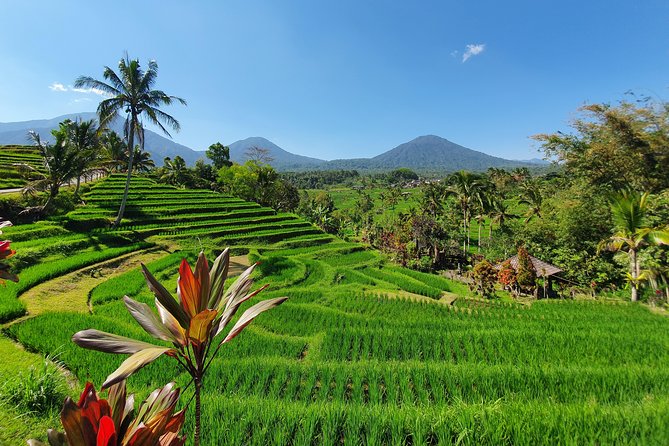 Private All-Day Tour of Bali (Mar )