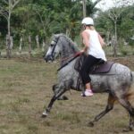1 private and customized horseback riding adventures Private and Customized Horseback Riding Adventures