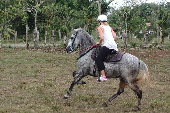 Private and Customized Horseback Riding Adventures