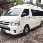 1 private arrival transfer bali airport to ubud area Private Arrival Transfer: Bali Airport to Ubud Area