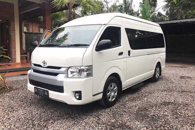 Private Arrival Transfer: Bali Airport to Ubud Area