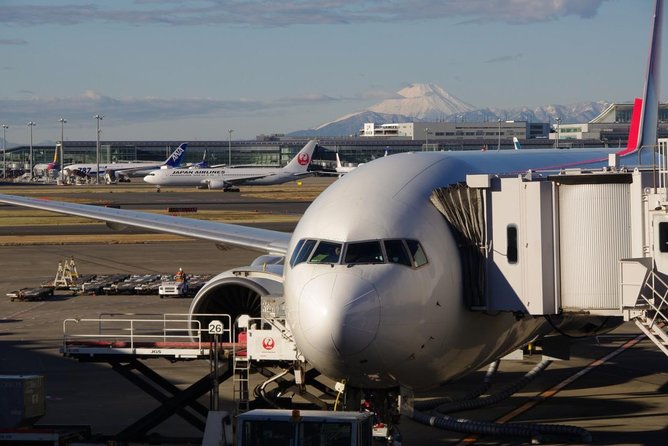 Private Arrival Transfer : Haneda International Airport to Tokyo Disney