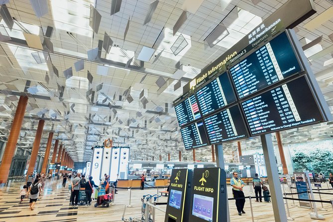 Private Arrival Transfer : Narita International Airport to Tokyo Disney