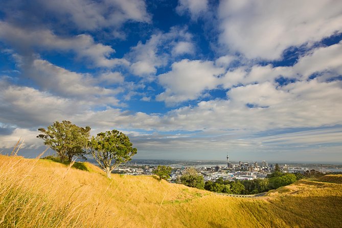 Private Auckland Half Day Tour