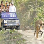 1 private bannerghatta national park day excursion Private Bannerghatta National Park Day Excursion