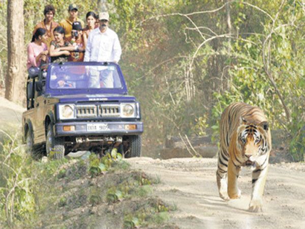1 private bannerghatta national park day Private Bannerghatta National Park Day Excursion