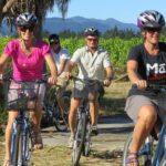 1 private biking wine tour full day in the marlborough region Private Biking Wine Tour (Full Day) in the Marlborough Region