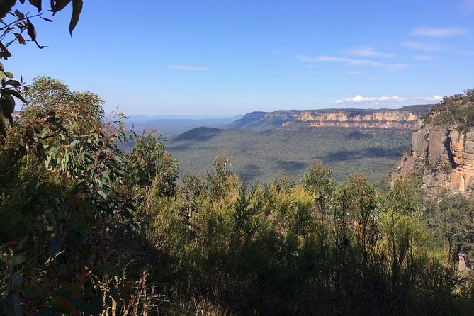 PRIVATE Blue Mountains Day Tour From Sydney With Wildlife Park and River Cruise