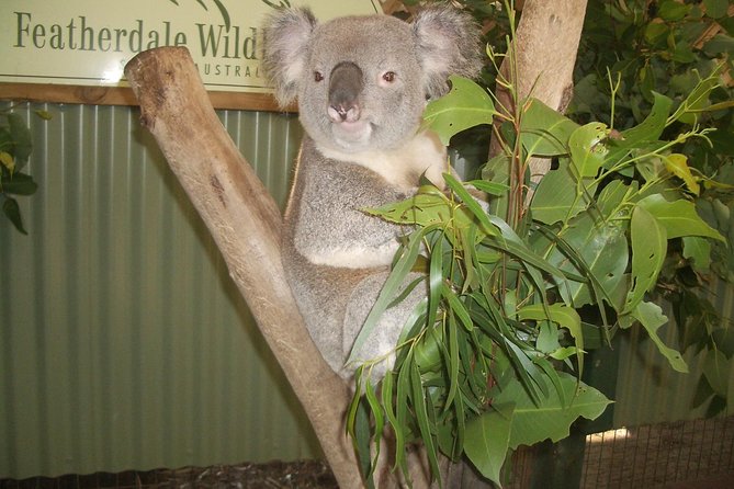 PRIVATE Blue Mountains Day Tour From Sydney With Wildlife Park and River Cruise