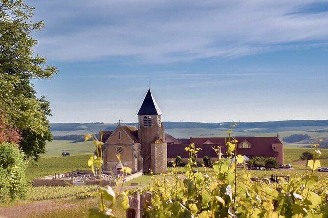Private Burgundy 3 Domaines Chateau Pommard Chablis 15 Wines Trip