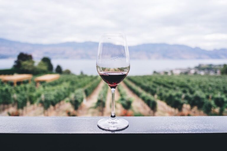Private Cape Winelands Wine Tasting Tour – Three Regions