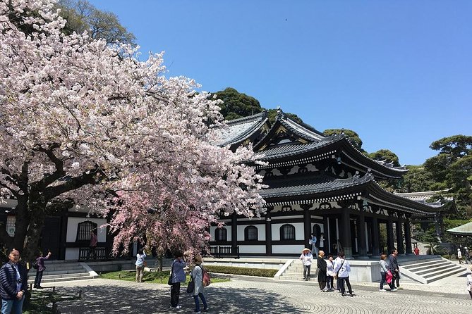 Private Car Tour to See Highlights of Kamakura, Enoshima, Yokohama From Tokyo