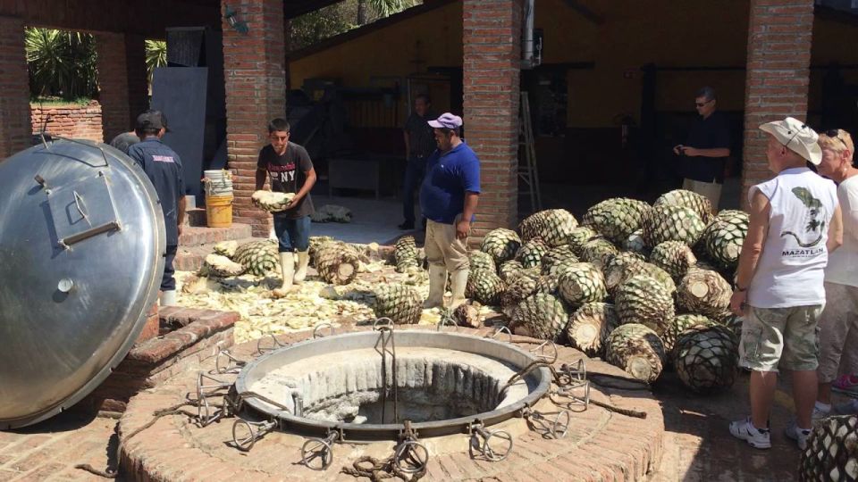 Private Colonial Tour Tequila and the Noria - Experience Highlights